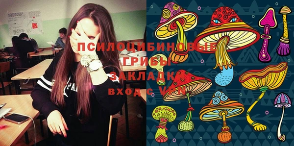 стафф Алексин