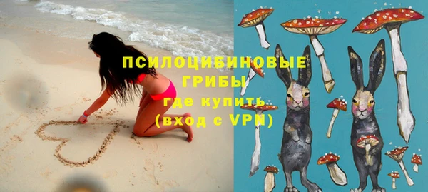 стафф Алексин